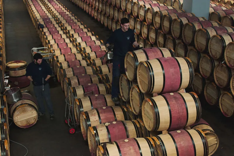 Trust Before Transaction: How Japanese Importers Are Rewiring French Wine Broker Networks Across the United States